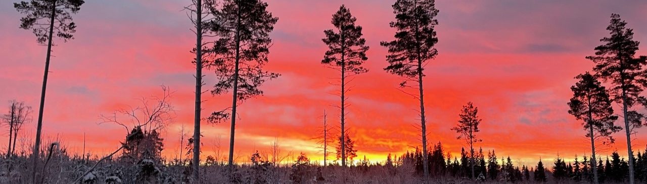 Tornedalsskolans Tidning